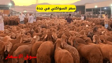 سعر السواكني في جدة