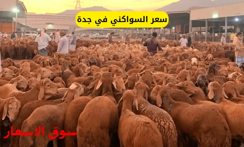 سعر السواكني في جدة
