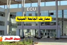 مصاريف الجامعة الصينية