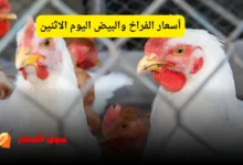 أسعار الفراخ والبيض اليوم الاثنين
