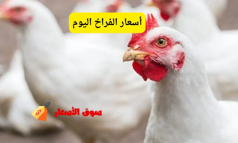 أسعار الفراخ اليوم الخميس