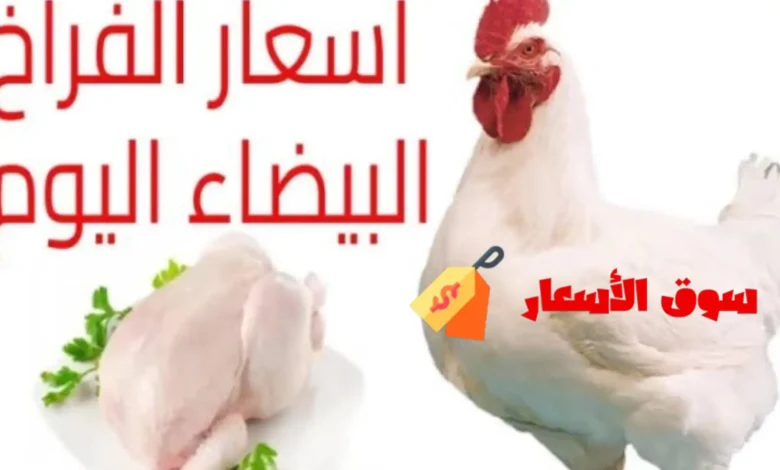 أسعار الفراخ اليوم